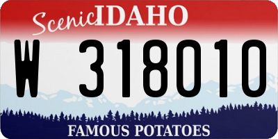 ID license plate W318010
