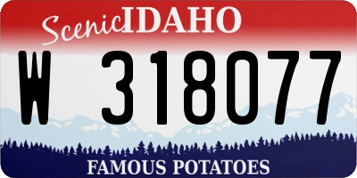 ID license plate W318077