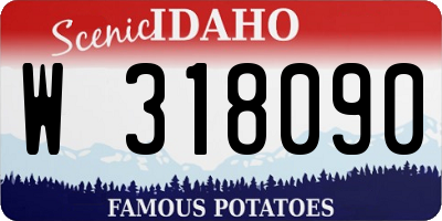 ID license plate W318090