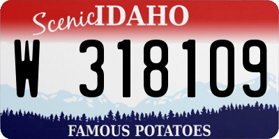 ID license plate W318109