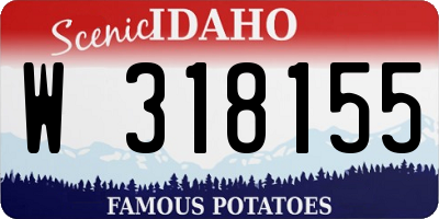 ID license plate W318155