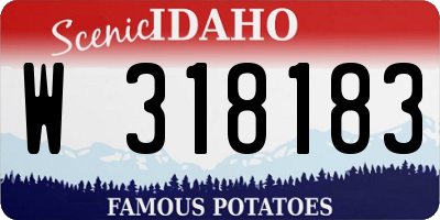 ID license plate W318183