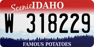 ID license plate W318229