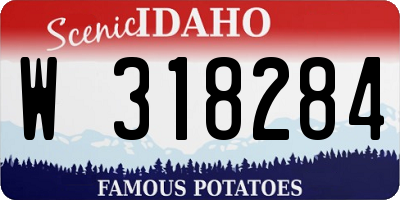 ID license plate W318284