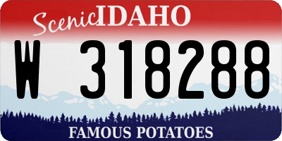 ID license plate W318288