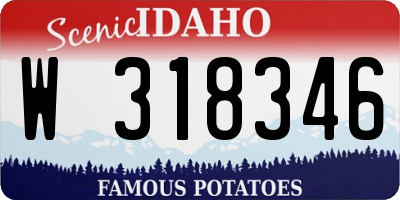 ID license plate W318346
