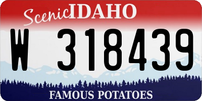 ID license plate W318439