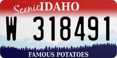 ID license plate W318491