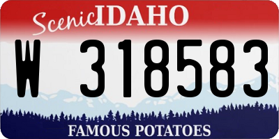 ID license plate W318583