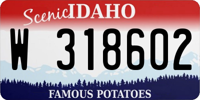 ID license plate W318602
