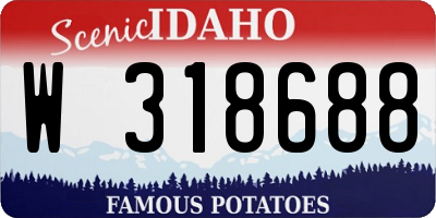ID license plate W318688