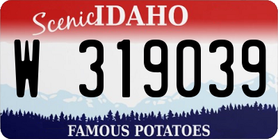 ID license plate W319039