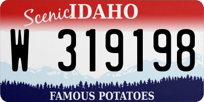 ID license plate W319198