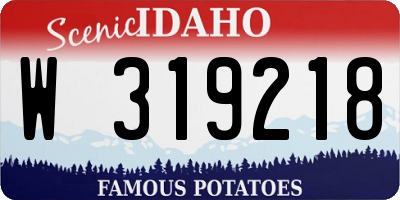 ID license plate W319218