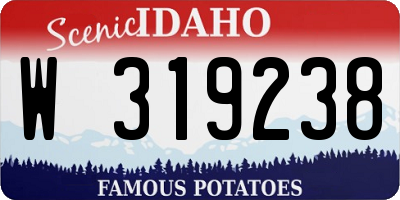 ID license plate W319238