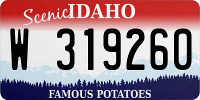 ID license plate W319260