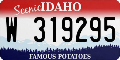ID license plate W319295