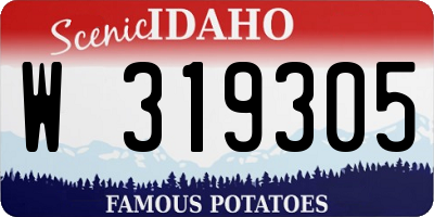 ID license plate W319305