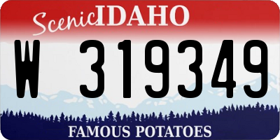 ID license plate W319349