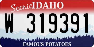 ID license plate W319391