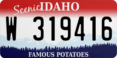 ID license plate W319416