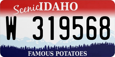 ID license plate W319568