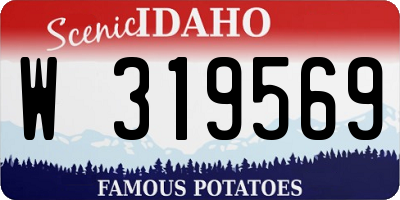 ID license plate W319569
