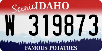 ID license plate W319873