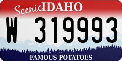 ID license plate W319993