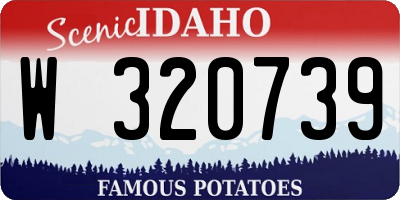 ID license plate W320739