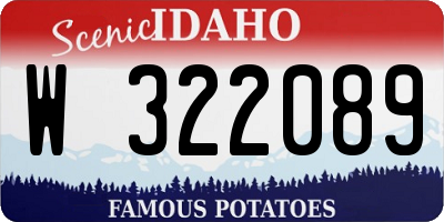 ID license plate W322089