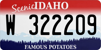 ID license plate W322209