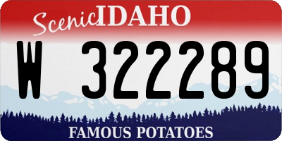 ID license plate W322289