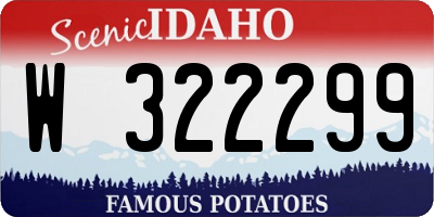 ID license plate W322299