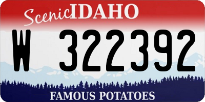 ID license plate W322392