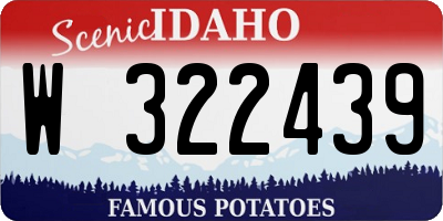 ID license plate W322439