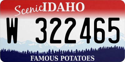 ID license plate W322465
