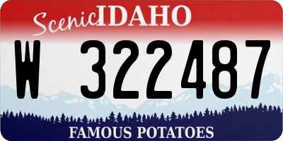 ID license plate W322487