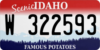 ID license plate W322593