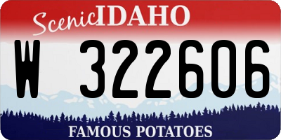 ID license plate W322606