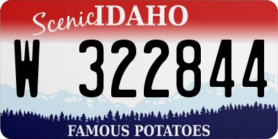 ID license plate W322844