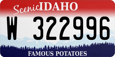 ID license plate W322996
