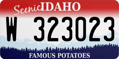 ID license plate W323023