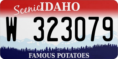 ID license plate W323079
