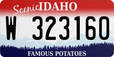 ID license plate W323160