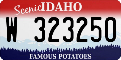 ID license plate W323250