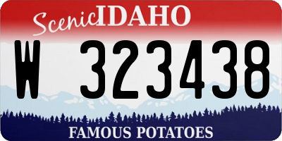 ID license plate W323438