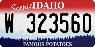 ID license plate W323560