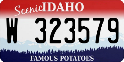 ID license plate W323579