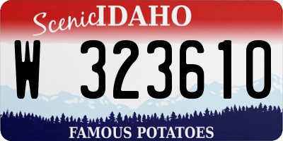 ID license plate W323610
